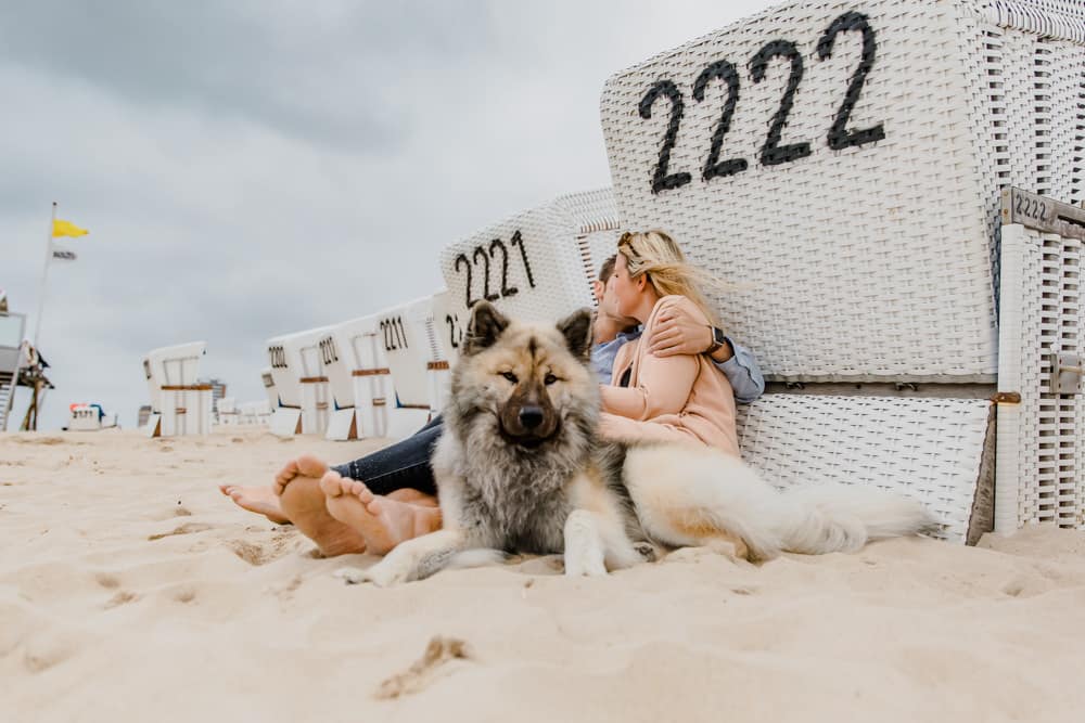 Paarfotoshooting mit Hund auf Sylt
