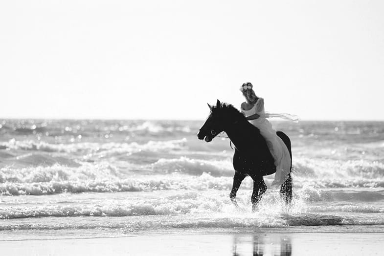 Hochzeitsfotos mit Pferd an der Ostsee, Hochzeitsreportage von Petra Fiedler aus Kiel