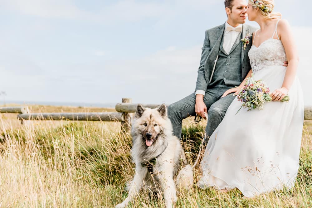 Hund beim Brautpaarshooting in den Dünen auf Sylt. Hochzeitsfotografin für Hochzeitsreportage auf Sylt buchen.